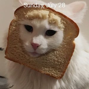 Meet your Posher, Terri